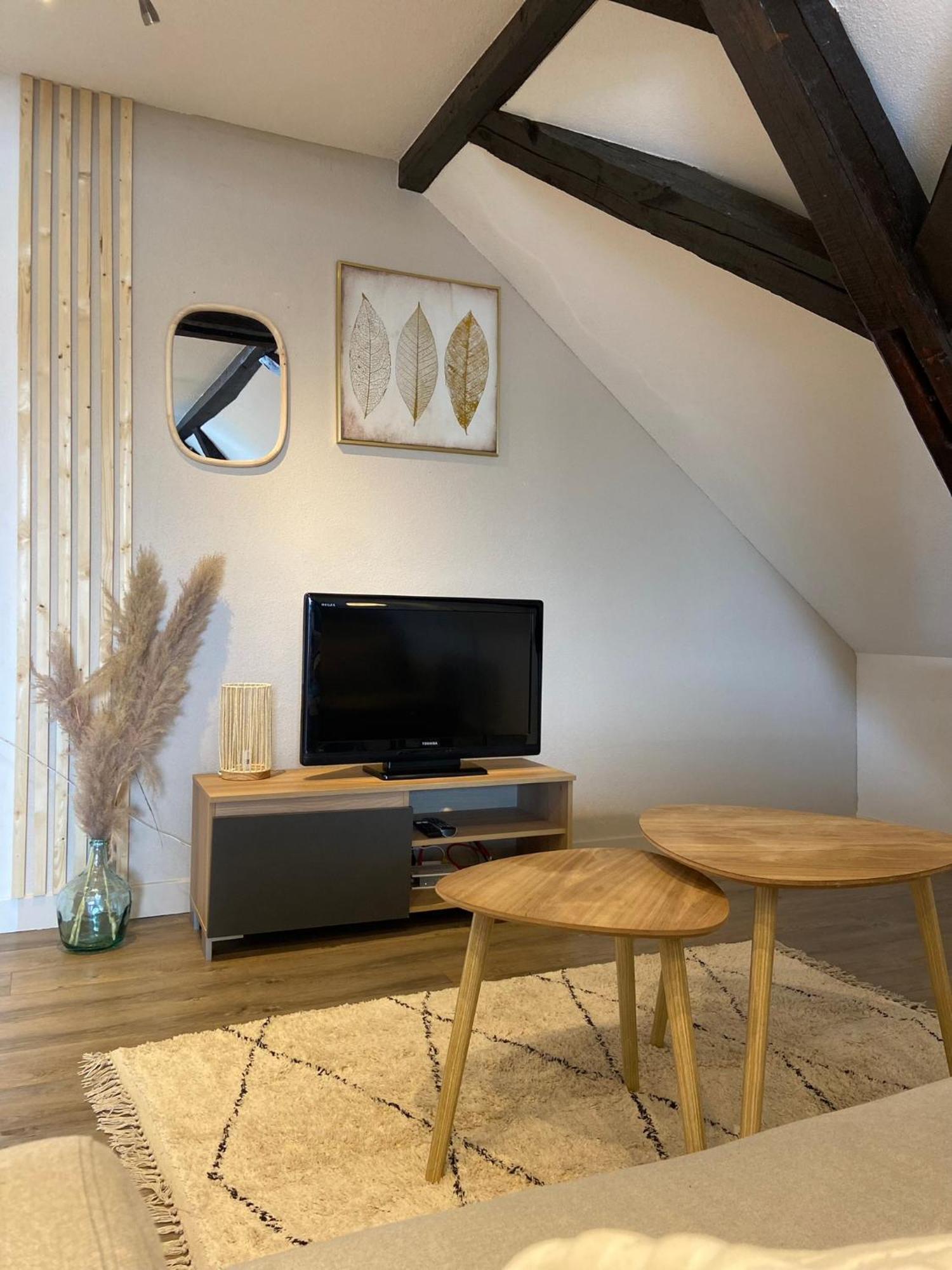 Bel Appartement 2 Pieces Soufflenheim 外观 照片